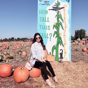 Meet your Posher, Kim hoa